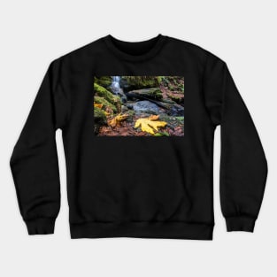 Trillium Falls in Autumn Crewneck Sweatshirt